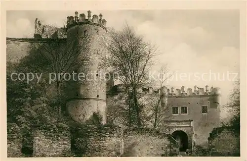 AK / Ansichtskarte Boskovice Burgruine Boskovice