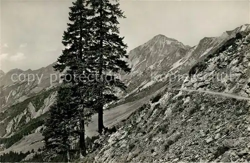 AK / Ansichtskarte Bruenig_OW Weg zum Rothorn Bruenig_OW