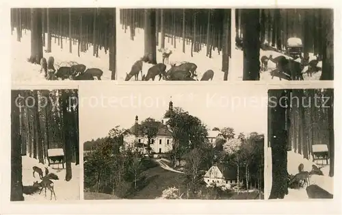 AK / Ansichtskarte Velky_Senov_Gross_Schoenau Wild v. Uhrinov Padoli a Okoli Velky_Senov_Gross_Schoenau