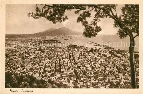 AK / Ansichtskarte Napoli_Neapel Panorama Vesuvio Vulkan Vesuv Napoli Neapel