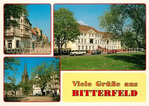 AK / Ansichtskarte Bitterfeld Markt Kirche Lutherhaus Bitterfeld