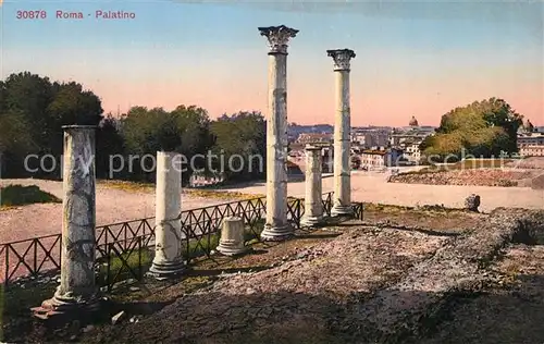 AK / Ansichtskarte Roma_Rom Palatino Ruinen Antike Staette Roma_Rom