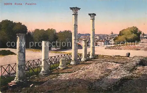 AK / Ansichtskarte Roma_Rom Palatino Ruinen Antike Staette Roma_Rom