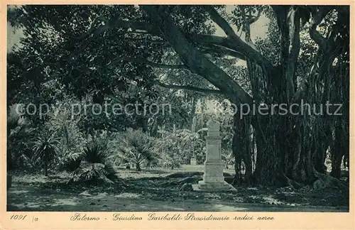 AK / Ansichtskarte Palermo_Sicilia Giardino Garibaldi Straordinarie radici aeree Palermo_Sicilia