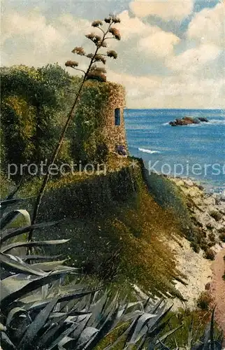 AK / Ansichtskarte La_Mortola Ventimiglia Kueste Riviera di Ponente Photochromie Serie 189 No 2652 La_Mortola Ventimiglia