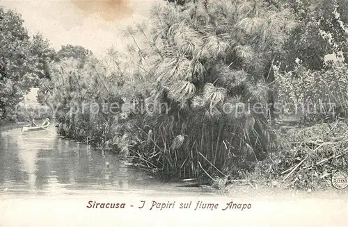 AK / Ansichtskarte Siracusa I Papiri sul fiume Anapo Siracusa