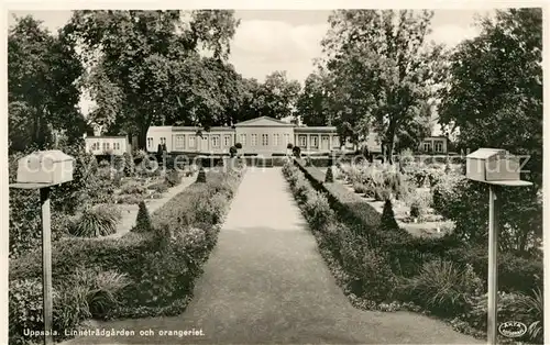 AK / Ansichtskarte Uppsala Linnetraedgarden och orangeriet Uppsala
