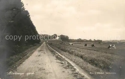 AK / Ansichtskarte Svedberg Svedberga gard 