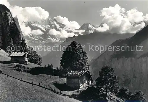 AK / Ansichtskarte Wengen_BE Breithorn Tschingelhorn Wengen_BE