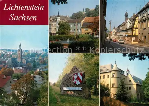 AK / Ansichtskarte Lichtenstein_Sachsen Schloss Lichtenstein_Sachsen
