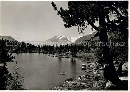 AK / Ansichtskarte Poschiavo Lago di Val Viola Val di Campo Piz Palue Poschiavo