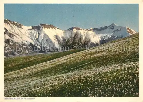 AK / Ansichtskarte Praettigau_Region Bergfruehling Praettigau Region