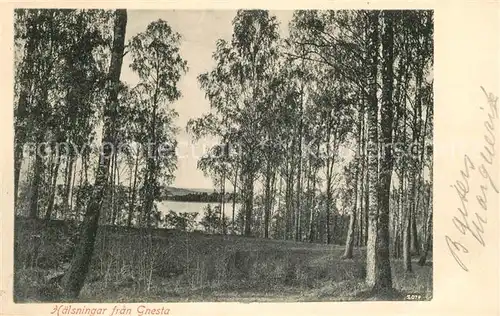 AK / Ansichtskarte Gnesta Haelsningar Gnesta