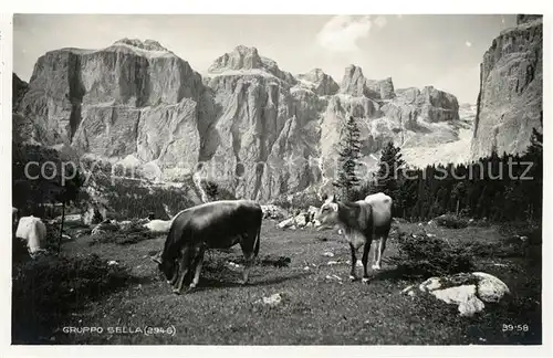 AK / Ansichtskarte Gruppo_Sella Sellagruppe Dolomiten Almvieh Kuehe Gruppo_Sella