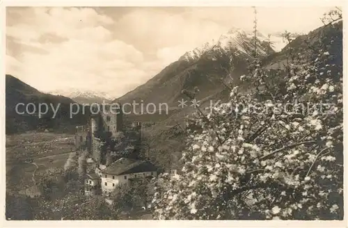AK / Ansichtskarte Merano_Suedtirol Castello Fontana Baumbluete Vinschgau Merano Suedtirol