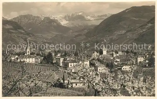AK / Ansichtskarte Gries_Bozen Panorama Baumbluete Gries Bozen