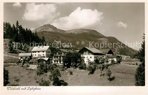 AK / Ansichtskarte Wildbichl mit Spitzstein Wildbichl
