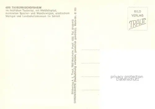 AK / Ansichtskarte Tauberbischofsheim Untere Stadt Schloss Marktplatz Rathaus Tauberbischofsheim