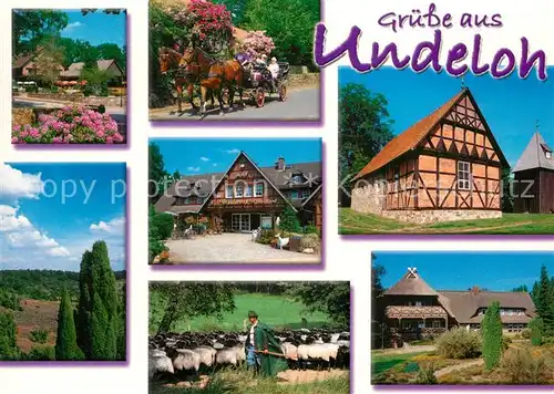 AK / Ansichtskarte Undeloh Kutsche Schaefer Fachwerk Undeloh