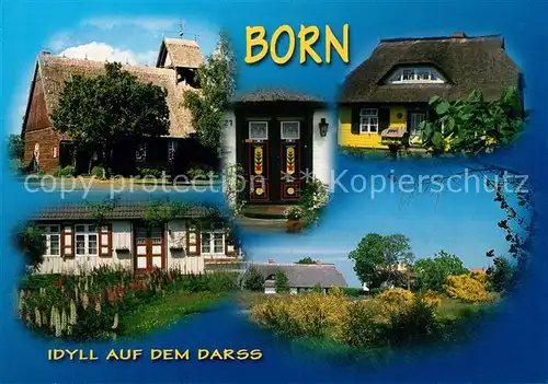 AK / Ansichtskarte Born_Darss Kirche Reetdachhaeuser Born_Darss