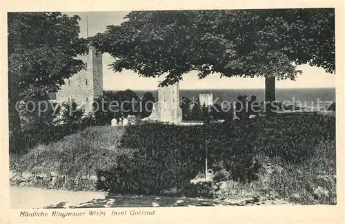 AK / Ansichtskarte Visby Noerdliche Ringmauer Visby