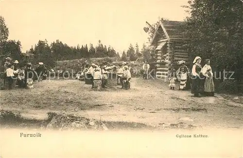 AK / Ansichtskarte Gaevle Furuvik Gyllene Katten Gaevle