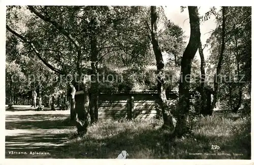 AK / Ansichtskarte Vaernamo Apladalen Vaernamo