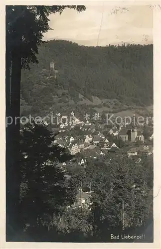 AK / Ansichtskarte Bad_Liebenzell Panorama Bad_Liebenzell