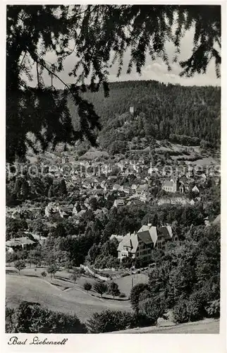 AK / Ansichtskarte Bad_Liebenzell Panorama Bad_Liebenzell