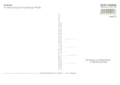 AK / Ansichtskarte Undeloh Kirche Schafe Heidekraut  Undeloh