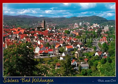 AK / Ansichtskarte Bad_Wildungen Panorama Bad_Wildungen