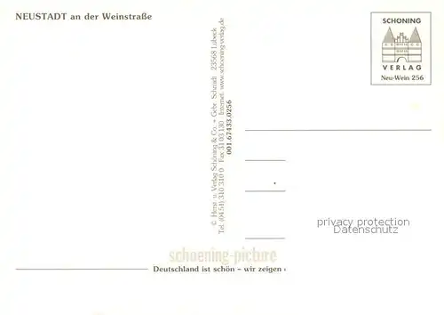 AK / Ansichtskarte Neustadt_Weinstrasse Markt Hetzelplatz Hambacher Schloss Friedrichstrasse Neustadt_Weinstrasse