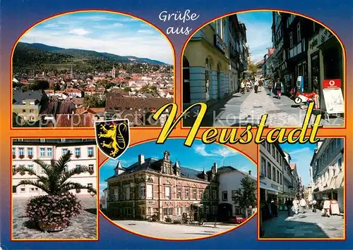 AK / Ansichtskarte Neustadt_Weinstrasse Panorama Rathaus Stadtansichten Neustadt_Weinstrasse