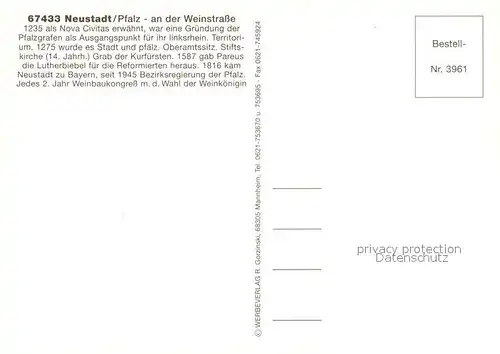 AK / Ansichtskarte Neustadt_Weinstrasse Panorama Rathaus Stadtansichten Neustadt_Weinstrasse