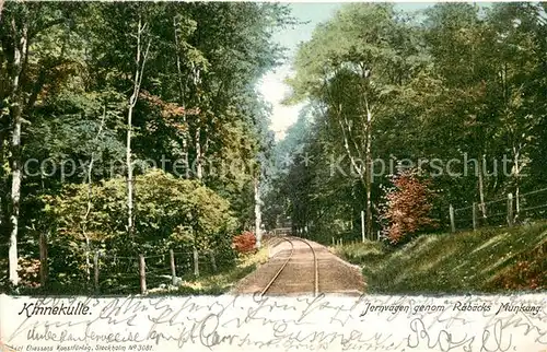 AK / Ansichtskarte Mariestad Kinnekulle Jernvaegen genom Rabaecks Munkaeng Mariestad