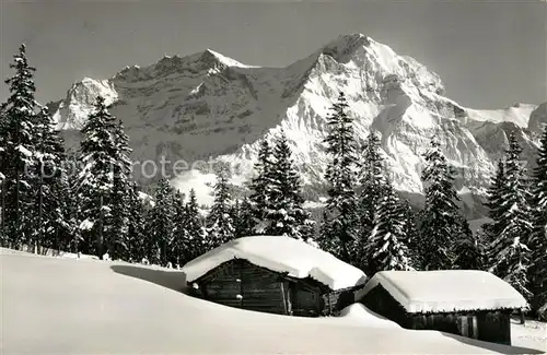 AK / Ansichtskarte Adelboden Stiegelschwand Grosslohner Adelboden