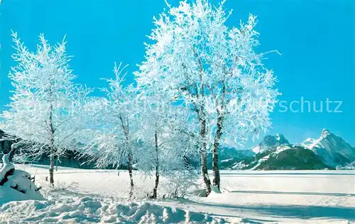 AK / Ansichtskarte Saanenmoeser_Saanen Gummfluh Rueblihorn Saanenmoeser Saanen