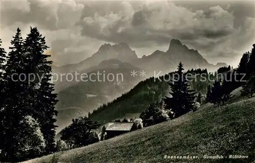 AK / Ansichtskarte Saanenmoeser_Saanen Gummfluh Rueblihorn Saanenmoeser Saanen