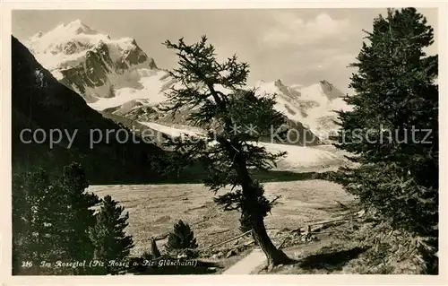 AK / Ansichtskarte Rosegtal Piz Roseg Piz Glueschain Rosegtal