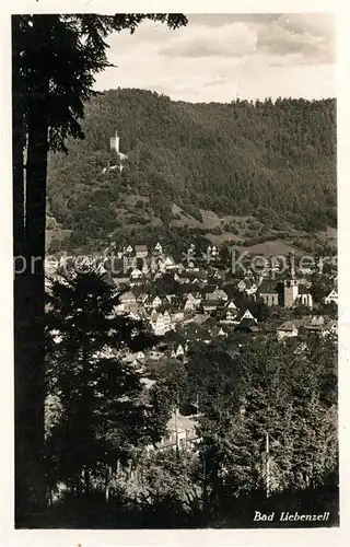 AK / Ansichtskarte Bad_Liebenzell Panorama Bad_Liebenzell