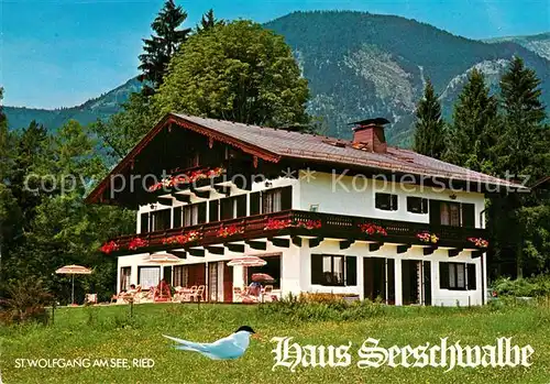 AK / Ansichtskarte St_Wolfgang_Wolfgangsee Pension Haus Seeschwalbe St_Wolfgang_Wolfgangsee