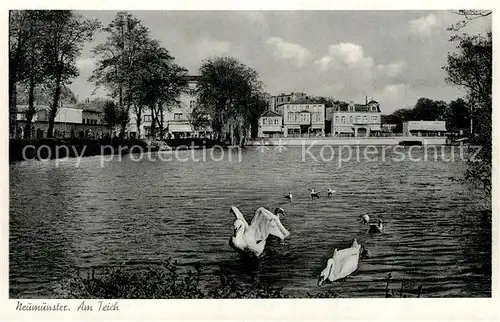 AK / Ansichtskarte Neumuenster_Schleswig Holstein Am Teich Neumuenster