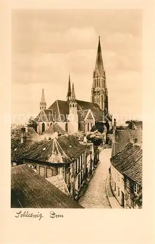 AK / Ansichtskarte Schleswig_Schlei Dom Schleswig_Schlei