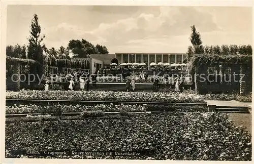 AK / Ansichtskarte Essen_Ruhr Grugapark Rosenterrassen mit Rosenkaffee Essen_Ruhr