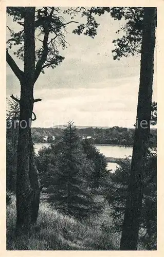 AK / Ansichtskarte Ploen_See Gasthof zur Fegetasche Ploen_See