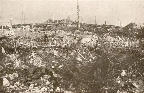 AK / Ansichtskarte Hartmannswillerkopf Fils de fer barbelos au Vieill Armand Hartmannswillerkopf