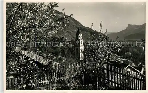 AK / Ansichtskarte Merano_Suedtirol Dalla Pensione Saxifraga Mimosa Merano Suedtirol