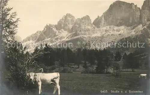 AK / Ansichtskarte Dolomiti Panorama Dolomiti