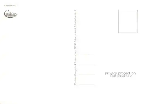 Schutterwald  Schutterwald