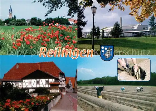 Reilingen Spargelstecher Fritz Mannherz Hallen Gasthaus zum Loewen  Reilingen